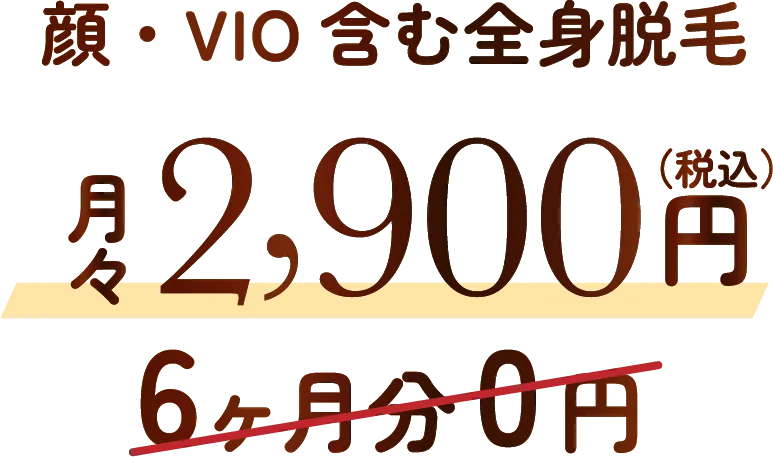 顔・VIO含む全身脱毛 月々2,900円（税込）