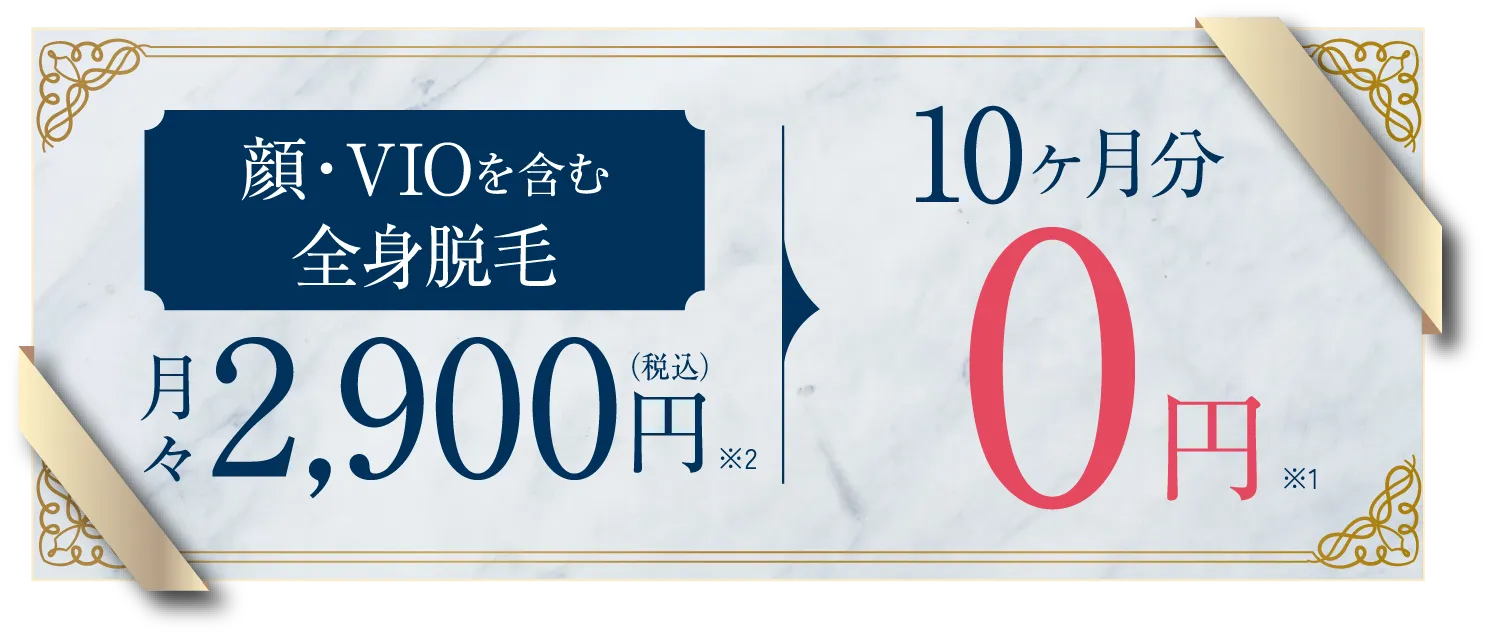 VIO脱毛6回 月額2,100円