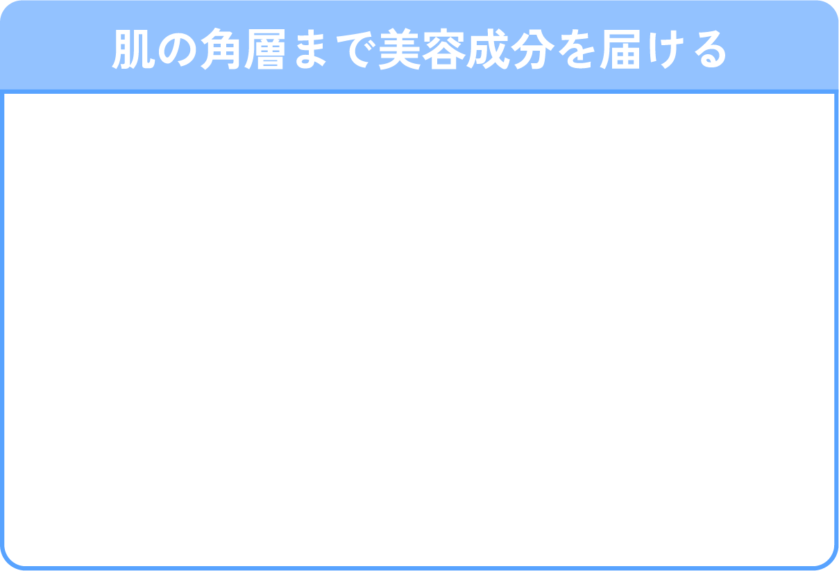 肌の角層まで美容成分を届ける