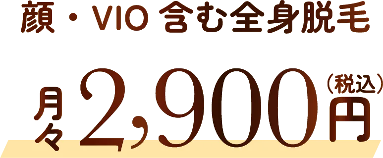 顔・VIO含む全身脱毛 月々2,900円（税込）