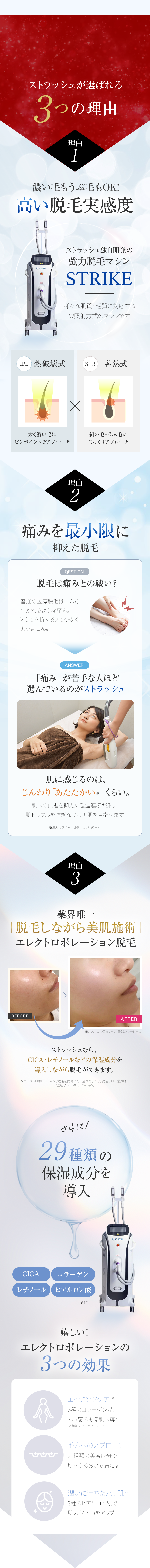 ストラッシュが選ばれる3つの理由