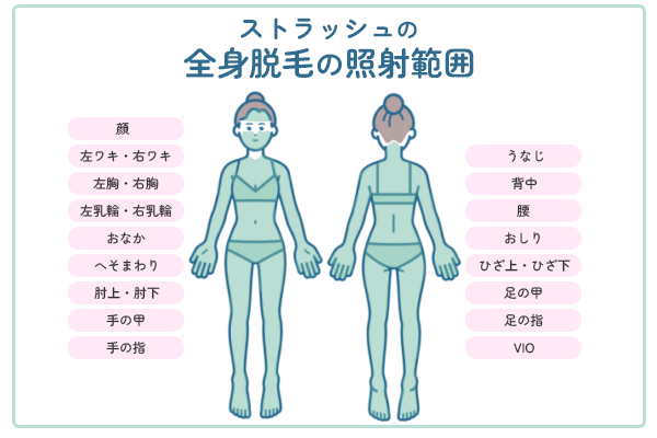ストラッシュの全身脱毛の照射可能範囲