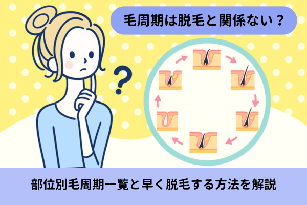 毛周期は脱毛と関係ない?部位別毛周期一覧と早く脱毛する方法を解説